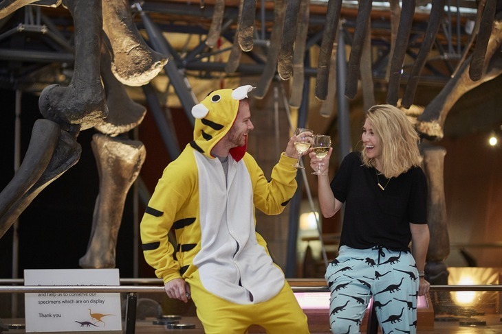 A sleepover at the natural history museum