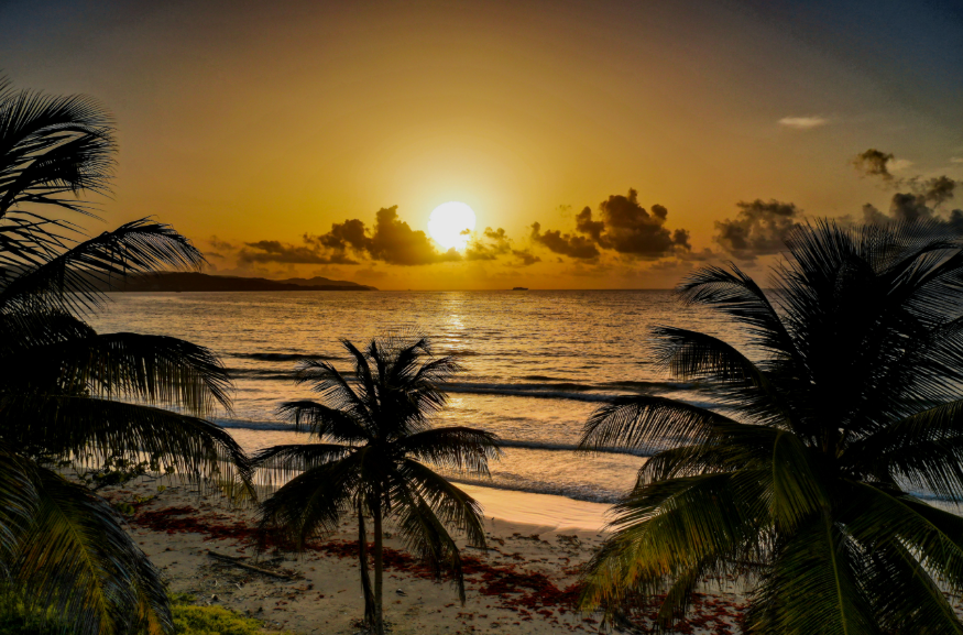 Free events in London this week: a photo of a sunset on a tropical beach