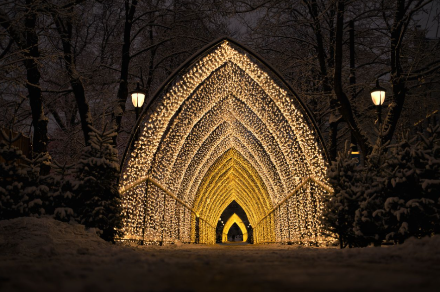 Winter light trails festivals near London Christmas 2025: a tunnel made of fairy lights in a forest at Port Lympne Illuminated