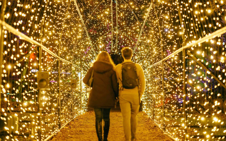 Winter light trails festivals near London Christmas 2025:  a couple walking through a tunnel of fairy lights