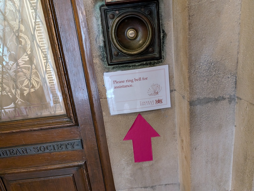 A doorbell with a big pink arrow beneath it