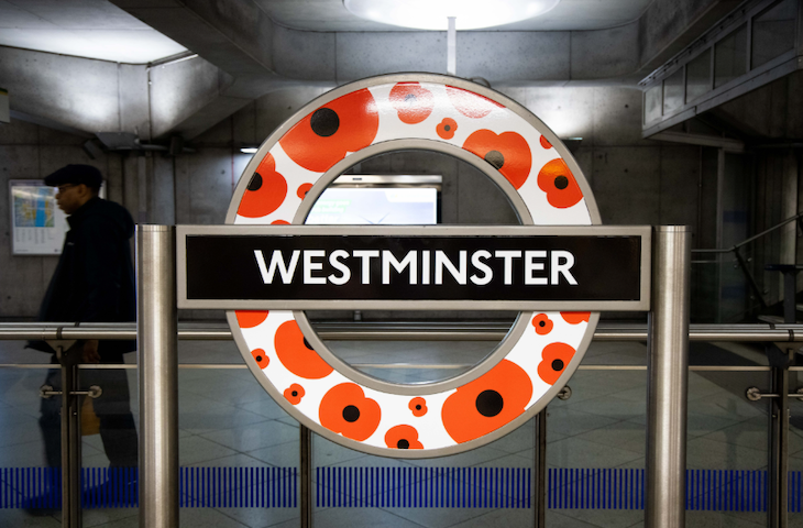 TfL westminster poppy roundel