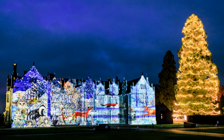 Winter light trails festivals near London Christmas 2025: a glowing Christmas tree towering over a mansion house, which has a woodland scene of foxes projected onto its front