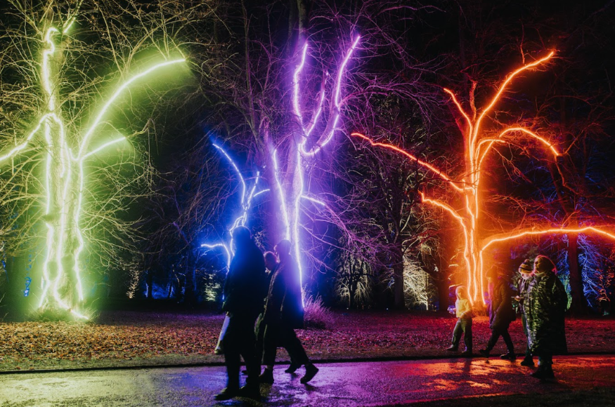 Christmas winter light festivals and trails London 2025: People silhouetted against a row of trees illuimnated in different colours at Chelsea's winter light trail