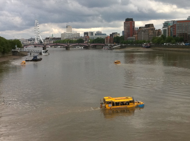A Duck Tour in the Thames