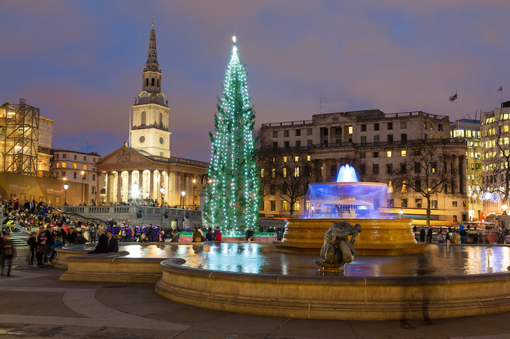 Christmas 2025 in London guide: the Trafalgar Square Christmas tree, illuminated at night