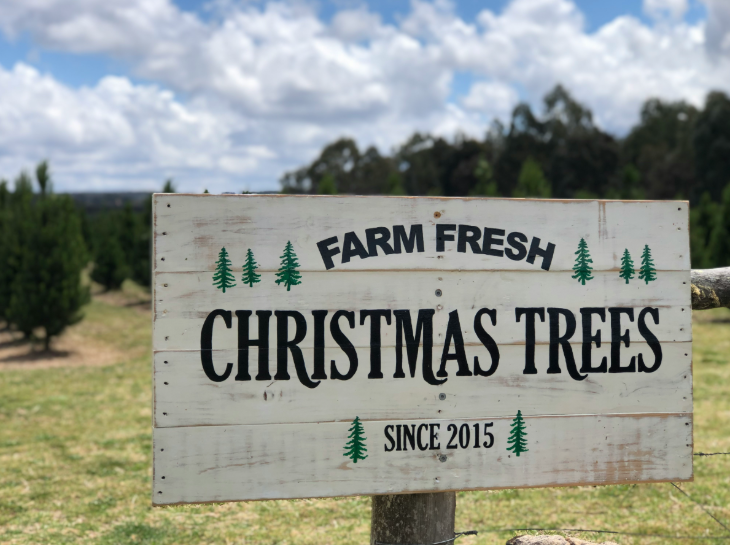 PYO Christmas tree farms London 2025: a wooden sign in a field reading "Farm fresh Christmas trees since 2015"
