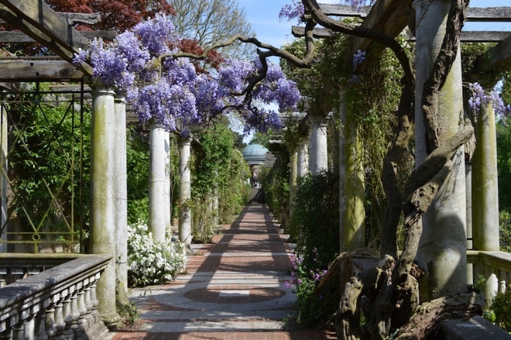 Hampstead Heath Pergola
