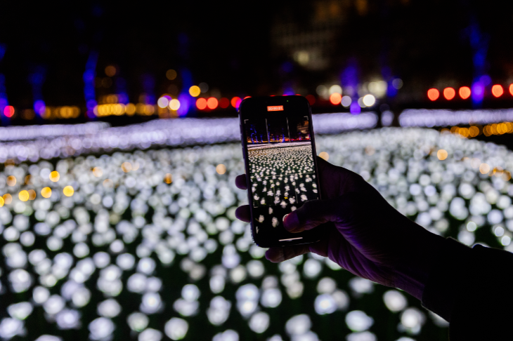 Free budget things to do in London at Christmas 2025: a person taking a photo of a glowing garden of roses