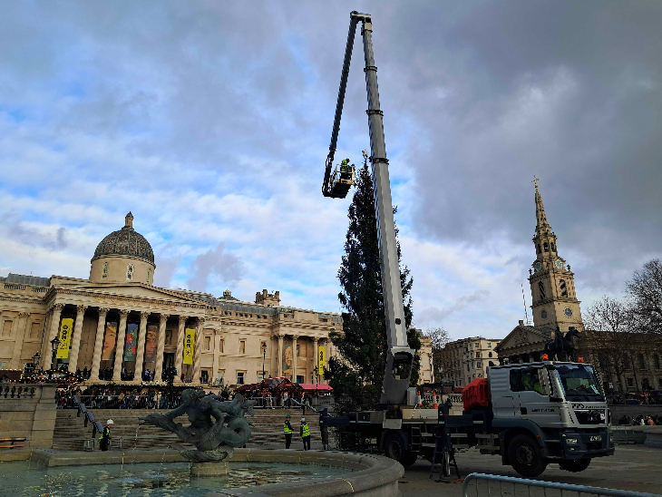 Self-guided Christmas lights walk London 2025: the Trafalgar Square Christmas tree being decorated using a cherry picker