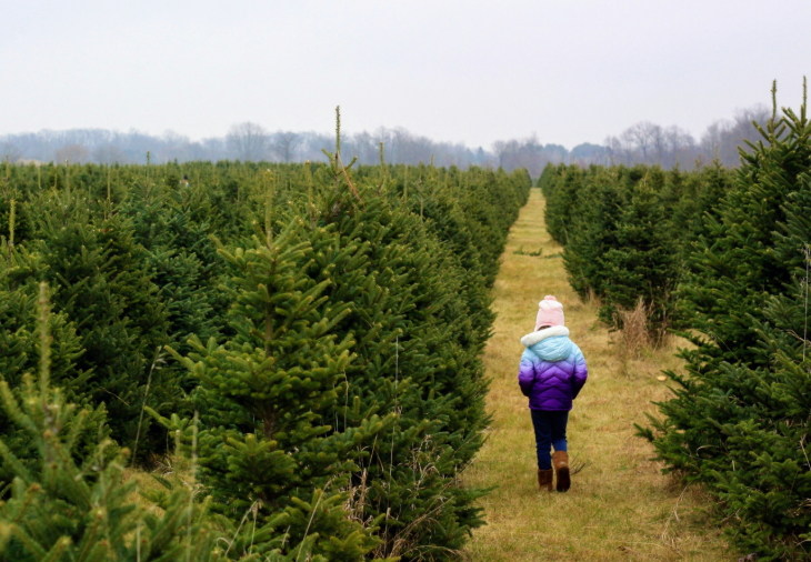 PYO Christmas tree farms London 2025: a girl walking on a grassy path between rows of Christmas trees
