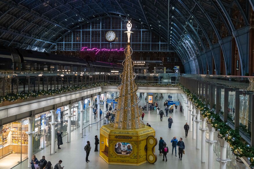 The tree in situ