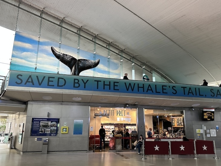 A whale's tail sticks out at Stratford