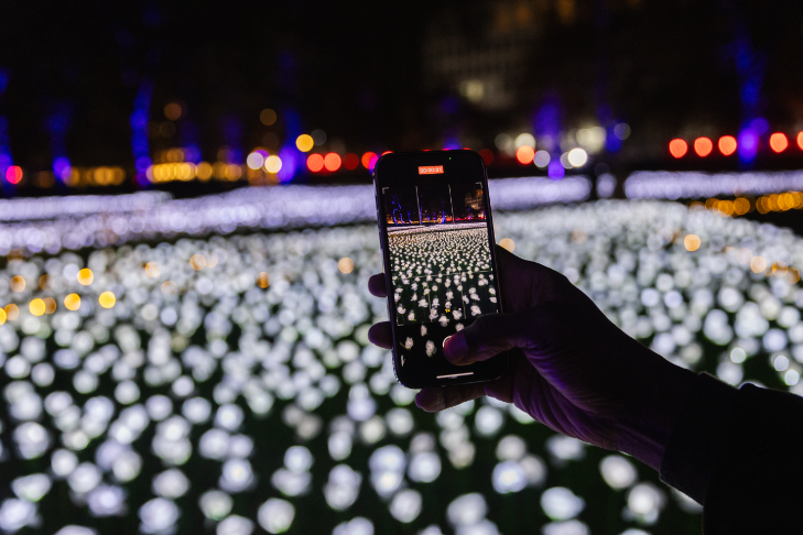 Christmas 2025 in London guide: someone taking a photo of a garden of glowing roses