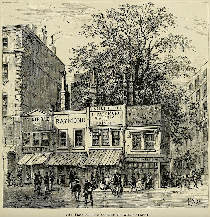 A tree in Wood Street London
