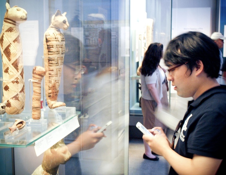 Someone viewing the mummified cats at the British Museum