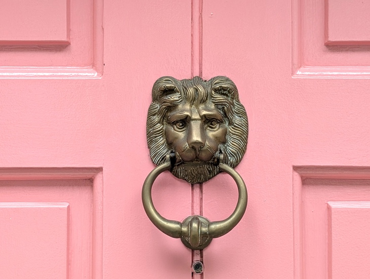A lion-faced door knocker on a pink door