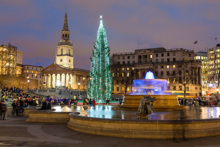 London Christmas lights 2025: the Trafalgar Square Christmas tree, illuminated at night