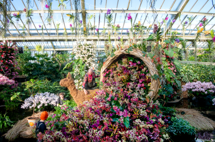 kew-gardens-orchid-festival-2026-londonist