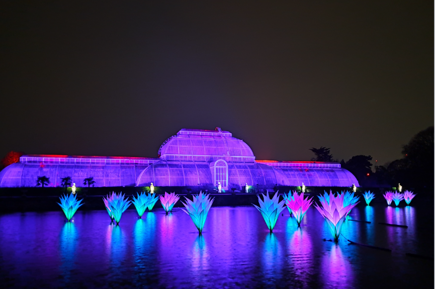 Things to do in London today: the glasshouse at Kew, illuminated purple