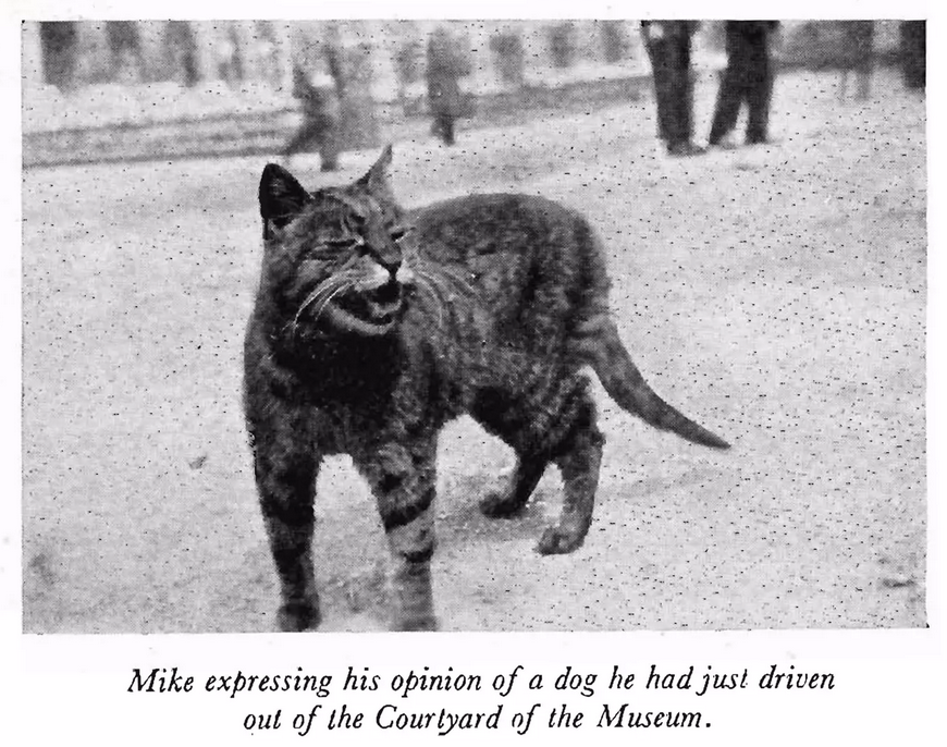 A newspaper cutting showing Mike