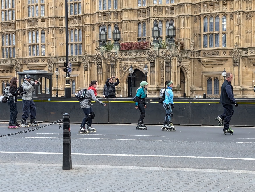 Skaters outside Parliament