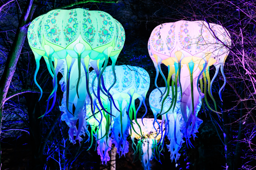 What's on in London today: giant illuminated jellyfish hanging from trees