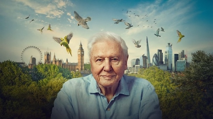 Wild London David Attenborough