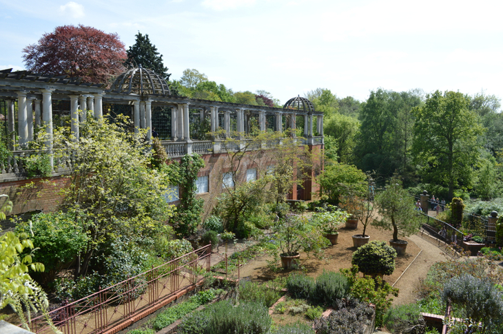 A beautiful garden pergola