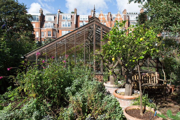 A small greenhouse backed by redbrick apartments
