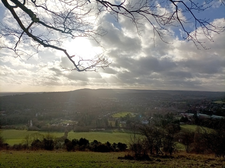A prospect from Box Hill