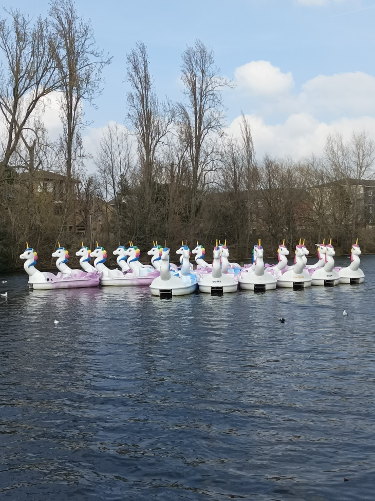 A gaggle of unicorn pedalos