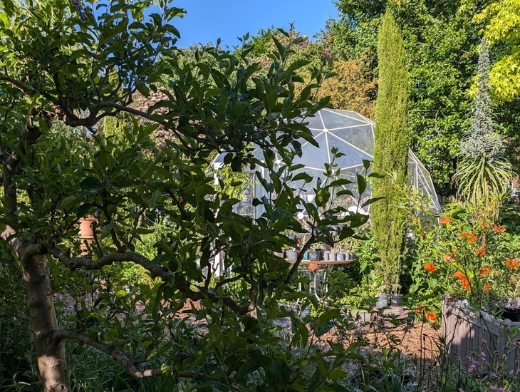 A greenhouse dome hidden in greenery
