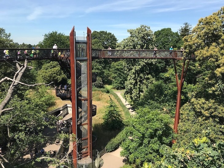 Treetop walkway in Kew