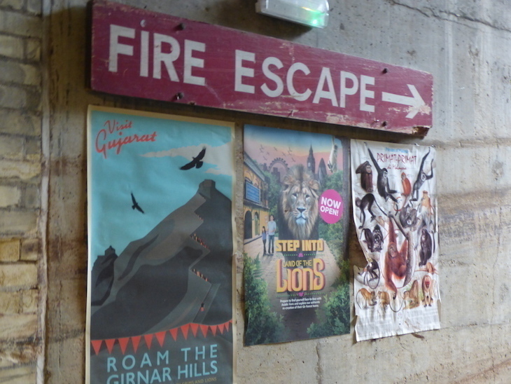 London Zoo trivia: three posters beneath a fire escape sign on a wall