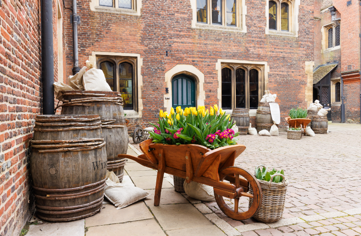 What's on in London in Spring 2026: a wooden wheelbarrow containing a display of pink and yellow tulips in the courtyard at Hampton Court Palace