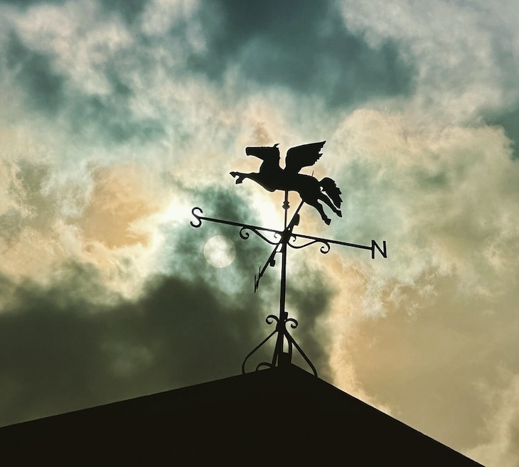 A pegasus weather vane