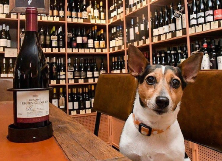 Things to do in London this weekend: a dog sitting next to a bottle of red wine