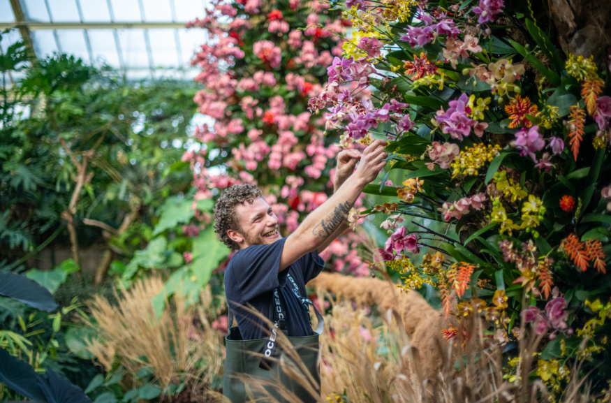 Things To Do In London This Weekend: 7-8 February 2026