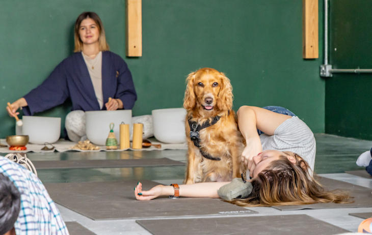 Things to do in London this weekend: a woman and a dog taking part in a yoga or meditation session