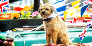 Free Canalway Cavalcade Festival Floats Into Little Venice This Weekend