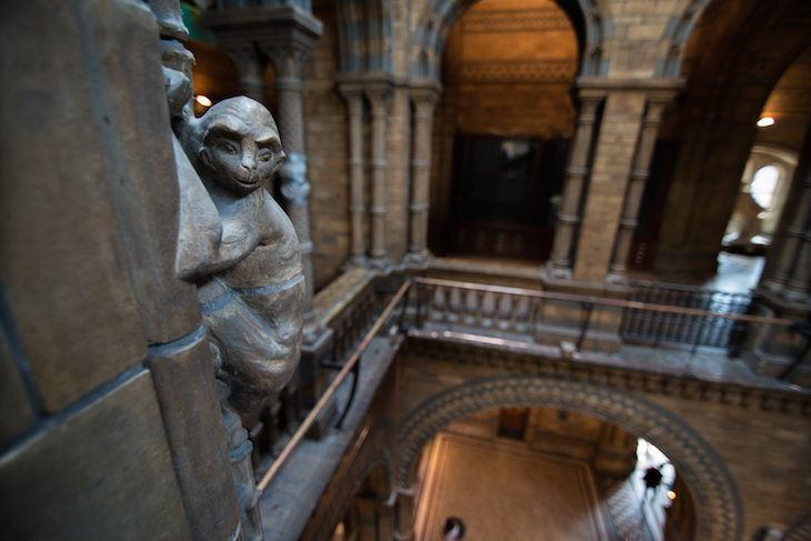 Free London museums: A carved monkey