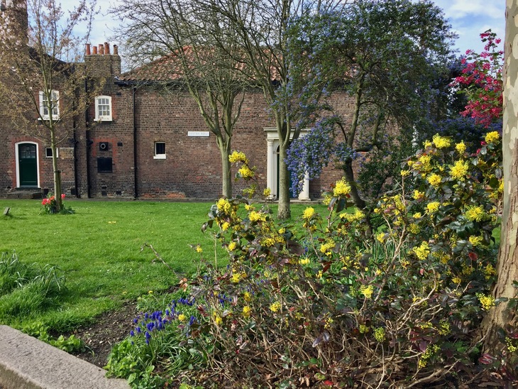 Free museums: Flowers in a museum garden