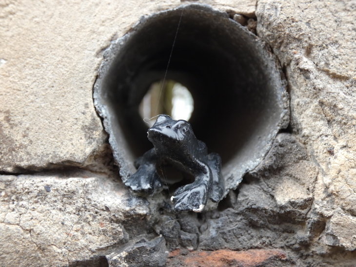 This Picturesque Back Street Is Home To Dozens Of Frog Statues