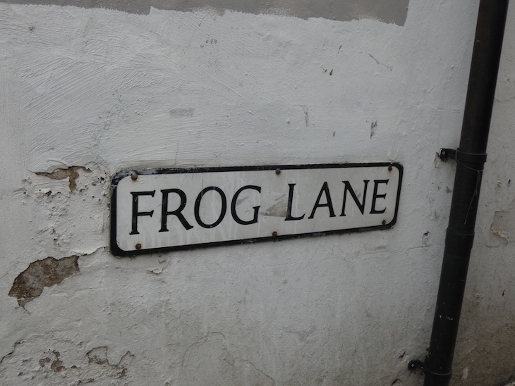 Frog Lane, Tunbridge Wells: a road sign for Frog Lane
