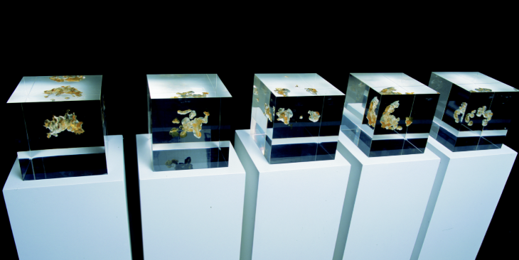 Top events in London today: five podiums each topped with a transparent cube containing an artwork