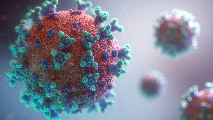 The Covid virus
