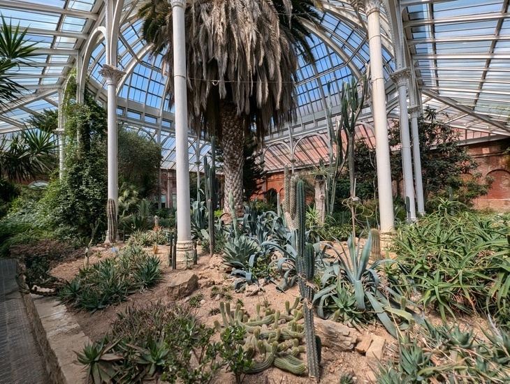 Best things to do in outer London: a garden of cacti and palm trees in a glasshouse conservatory building