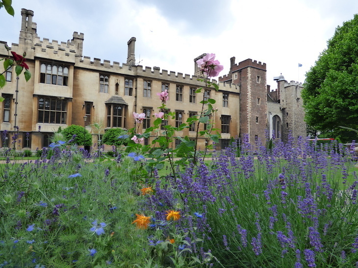 Best London gardens to visit: lavender, roses and other plants growing in front of Lambeth Palace