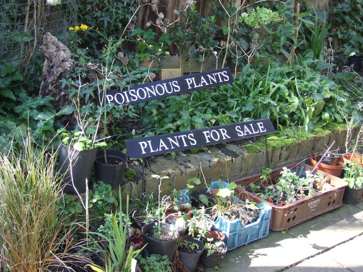 Best London gardens to visit: a sign saying 'Poisonous plants' directly above one saying 'Plants for sale'